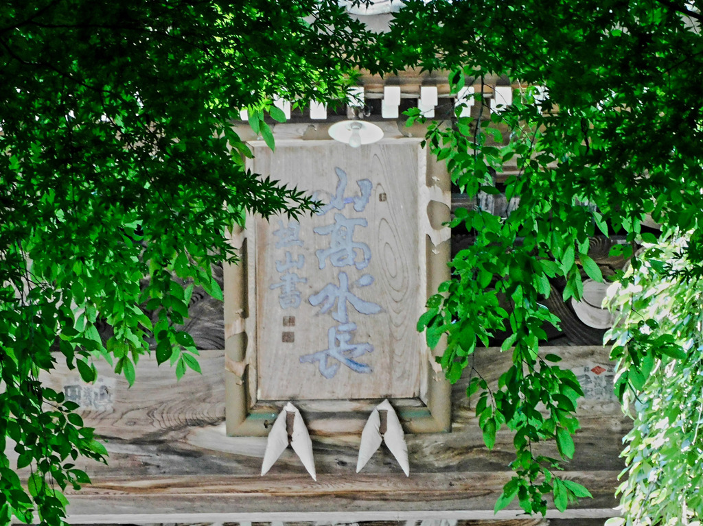 山高水長