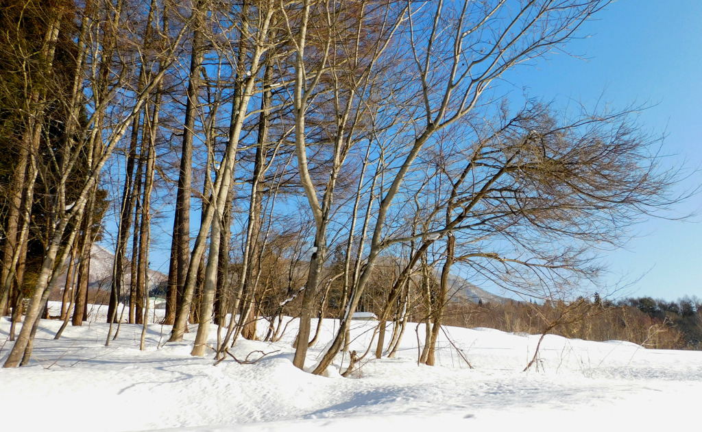 さよなら雪景色