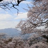 東山公園でお花見