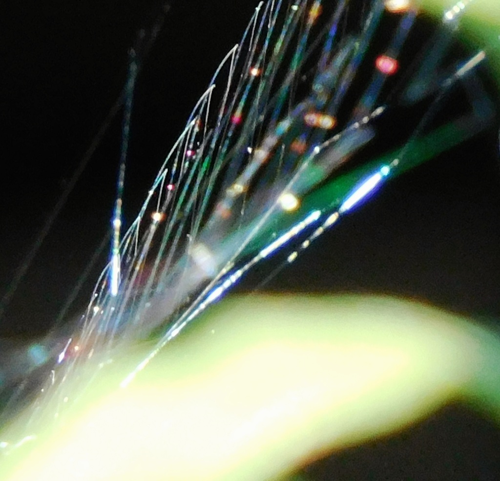 虹の欠片見つける