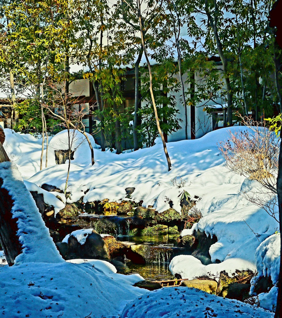 庭冬景