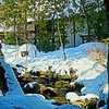 庭冬景