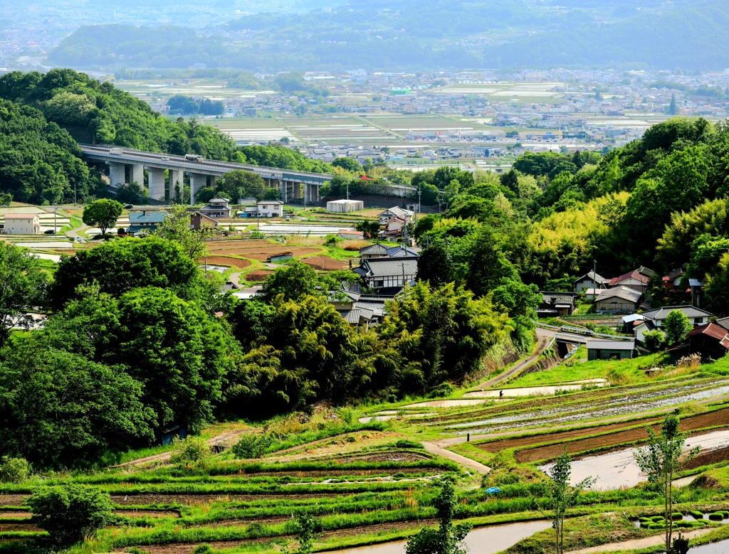 稲倉の棚田