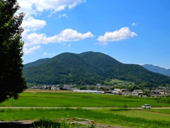 塩田平の田んぼ