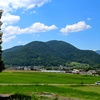 塩田平の田んぼ