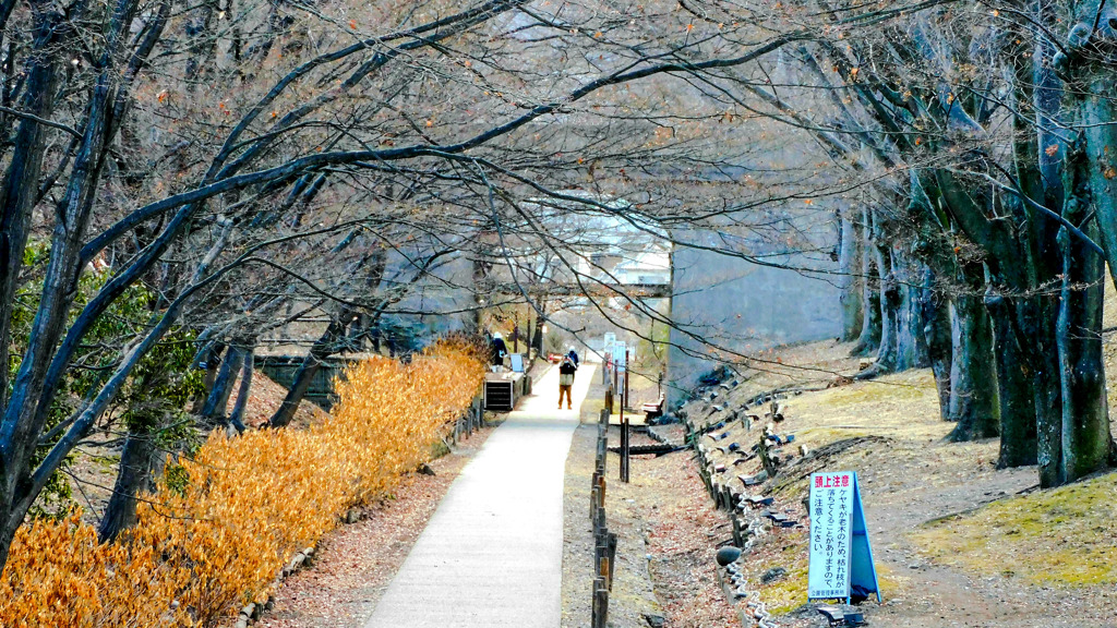 上田城二の丸堀跡