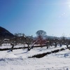 睦月の果樹園