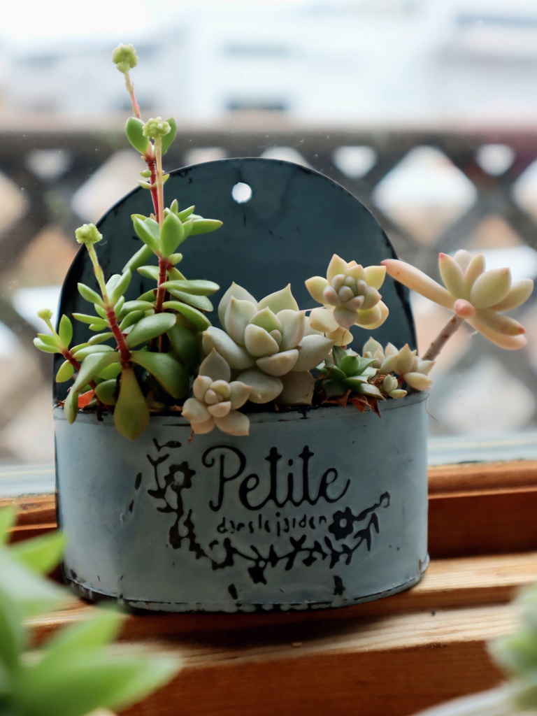 Petite