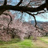 高梨館跡公園