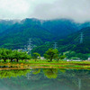 田園