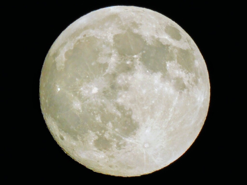 月齢14.1