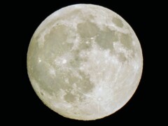 月齢14.1