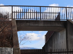 見上げる先には