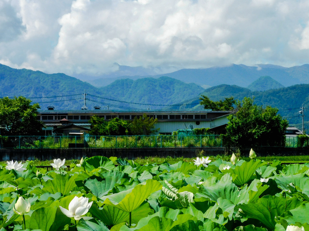 塩田平溜め池