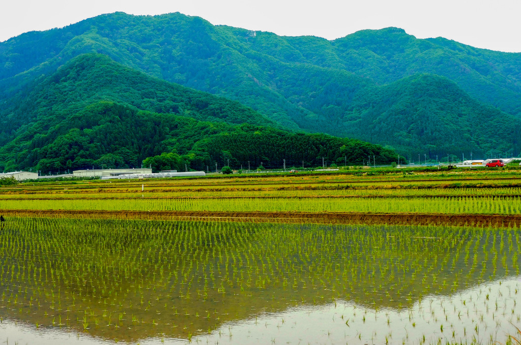 田園