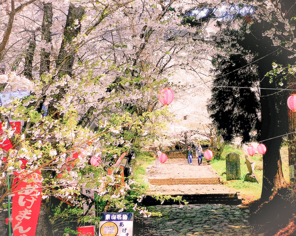 桜春景色