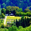 菜の花公園