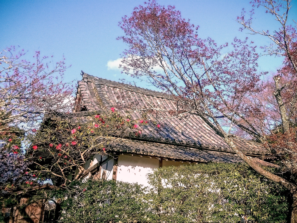 竹林院