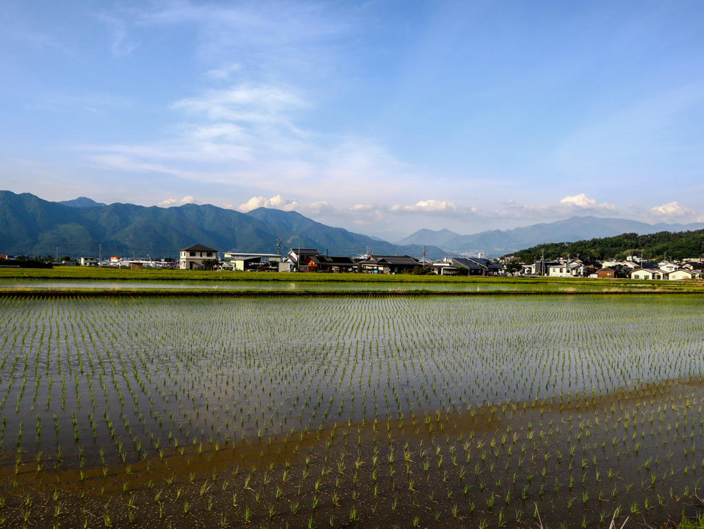 ５月の風