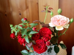 庭の花を飾る