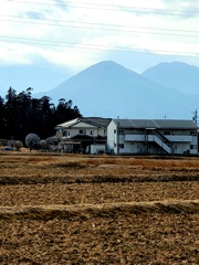 畦道から