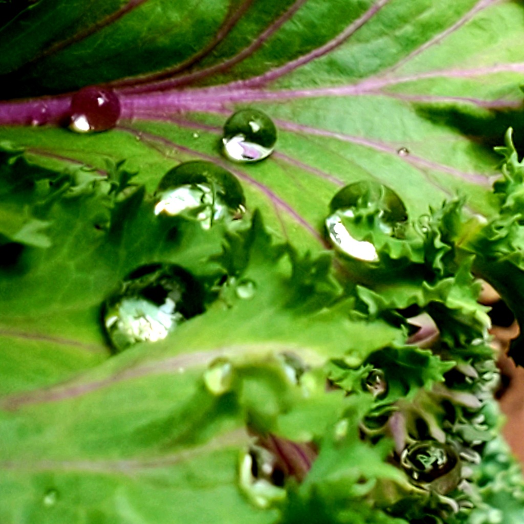 雨滴