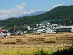 収穫の時