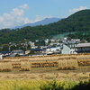 収穫の時