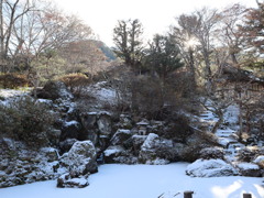前山寺　日本庭園