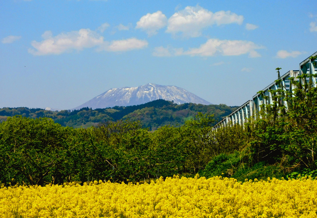 千曲川ふれあい公園