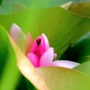 信頼