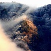 朝陽に染まる