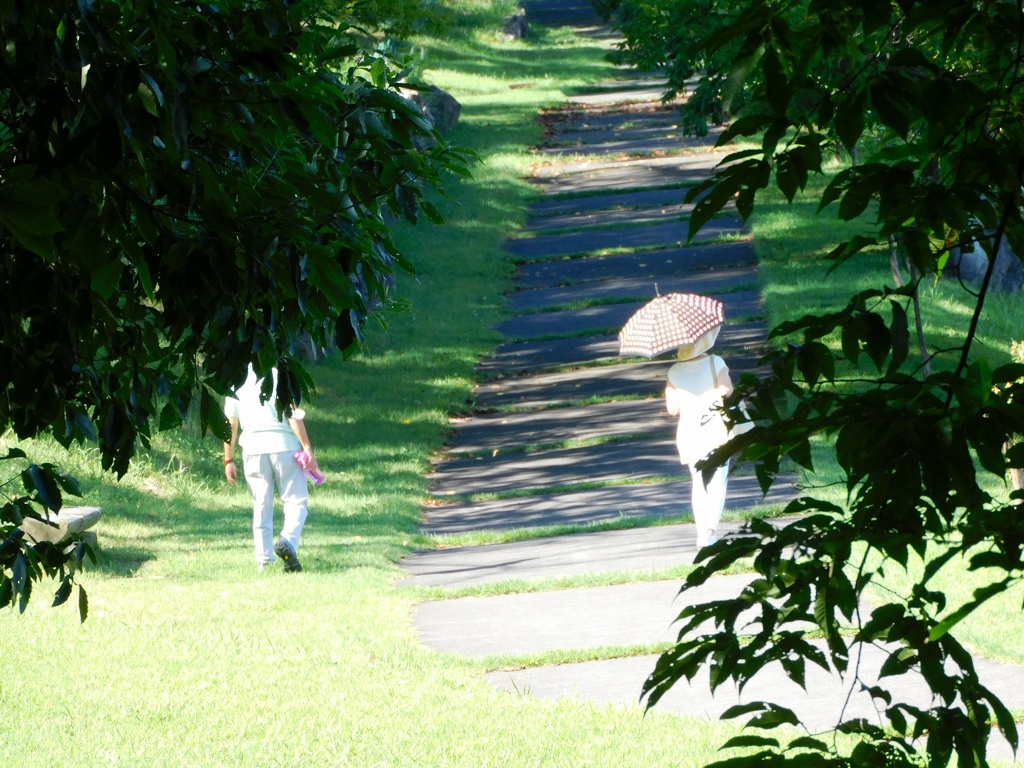 散策路
