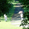 散策路