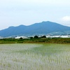 高社山と早苗田