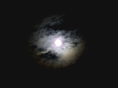 月に叢雲
