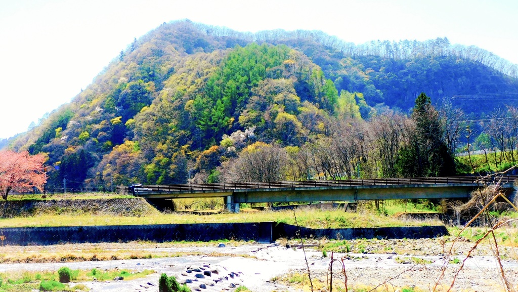 里山の春