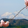小布施桜堤
