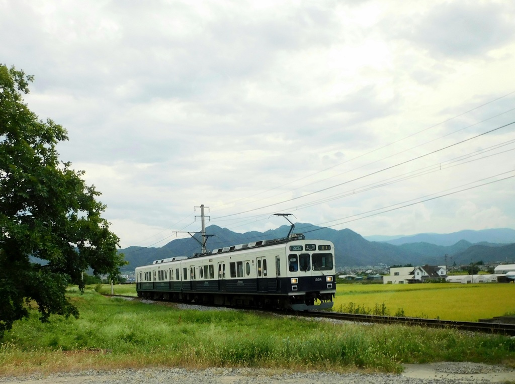 秋へ向かう