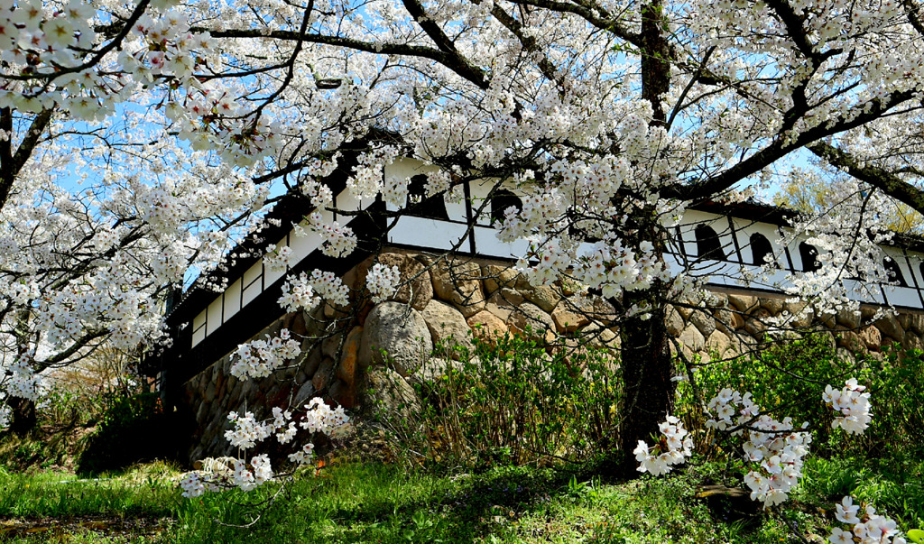 千本桜