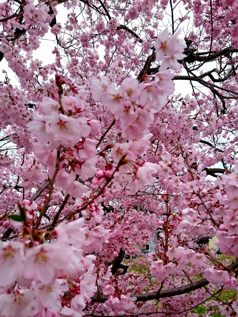 高梨館跡公園