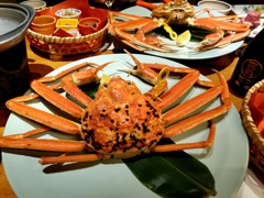 またいつか越前蟹