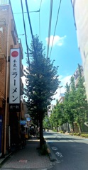 久しぶり