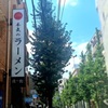 久しぶり