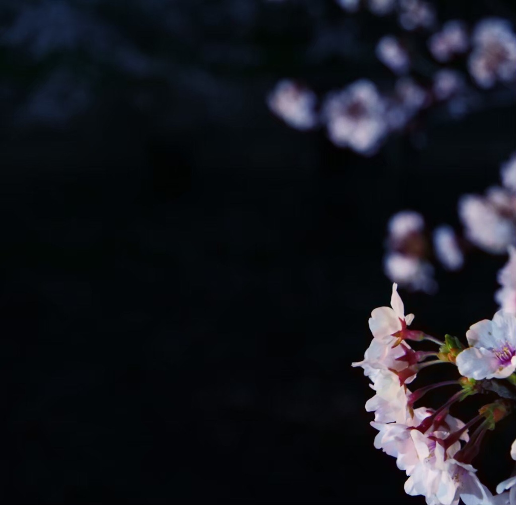 D076448F-84EA-42FD-8E55-6A7FB5074662