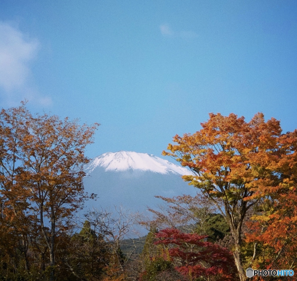 富士山 と 紅葉
