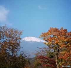 富士山 と 紅葉