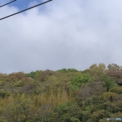 山