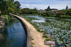 神野公園_2021_0716_1