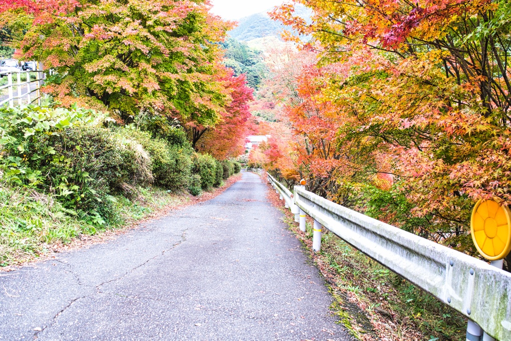 三瀬峠_2021_1114